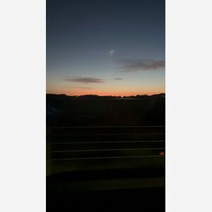 IMG_8156